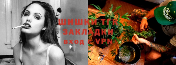 ГАЛЛЮЦИНОГЕННЫЕ ГРИБЫ Алексин