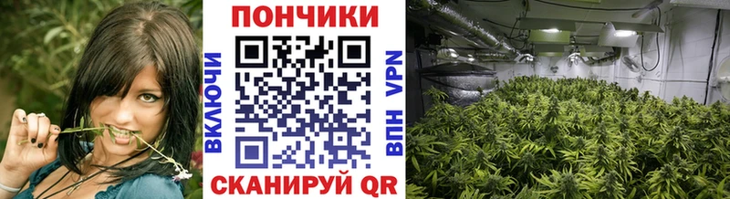 купить  сайты  Валдай  МАРИХУАНА SATIVA & INDICA 